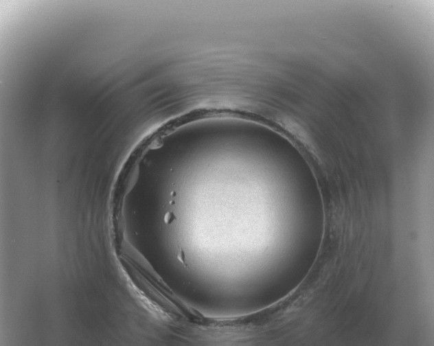 X0000067510976200604150129