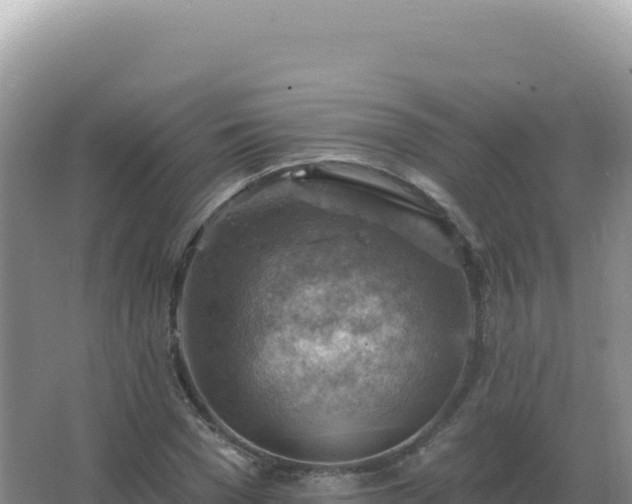 X0000067510977200604150129