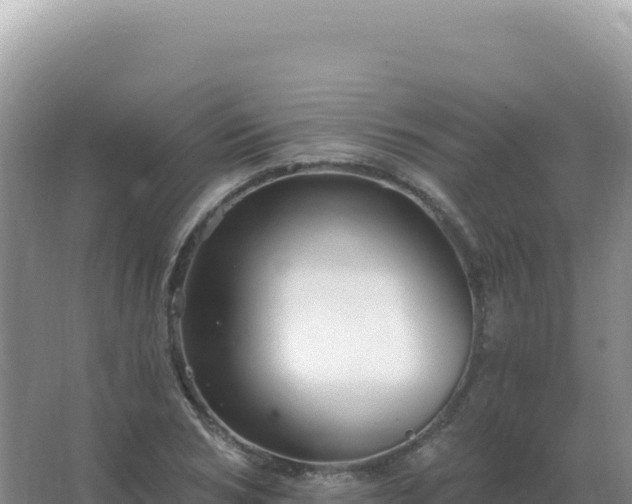 X0000067510978200604150129