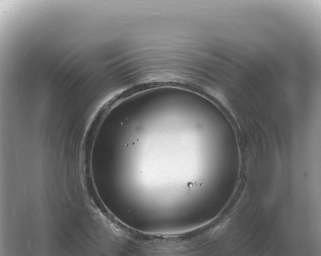 X0000067510979200604150129