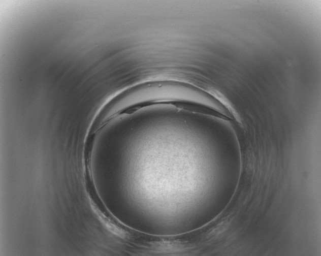 X0000067510980200604150129