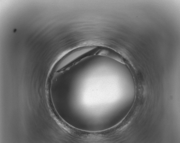 X0000067510981200604150129