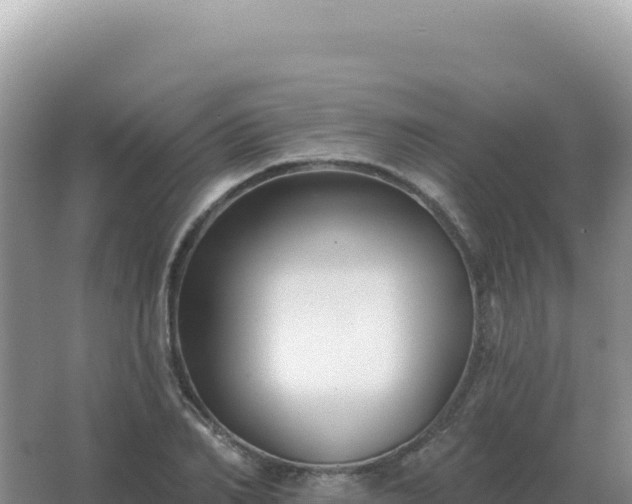 X0000067510982200604150129