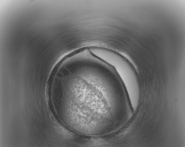 X0000067510983200604150129