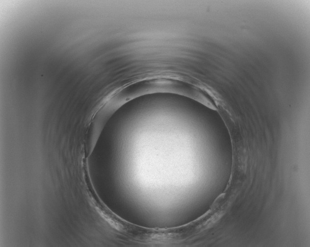 X0000067510985200604150129