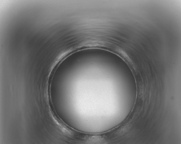 X0000067510986200604150129