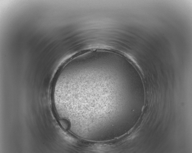 X0000067510987200604150129