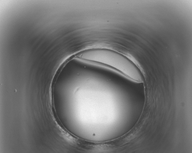 X0000067510988200604150129