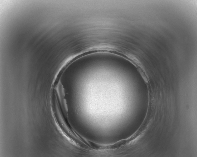 X0000067510989200604150129