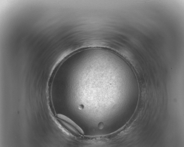 X0000067510990200604150129