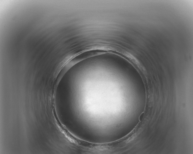 X0000067510993200604150129