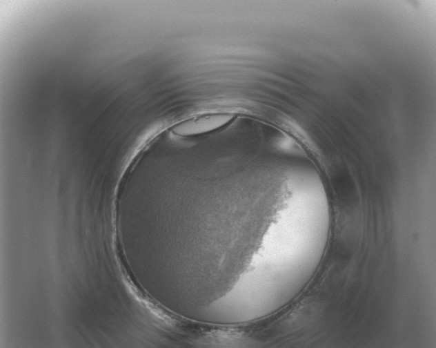 X0000067510994200604150129