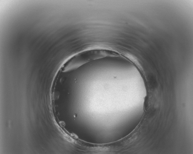 X0000067510996200604150129