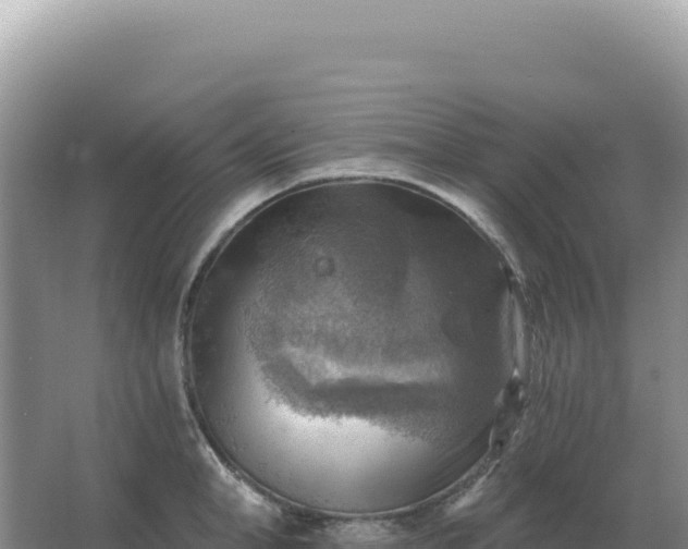 X0000067510998200604150129