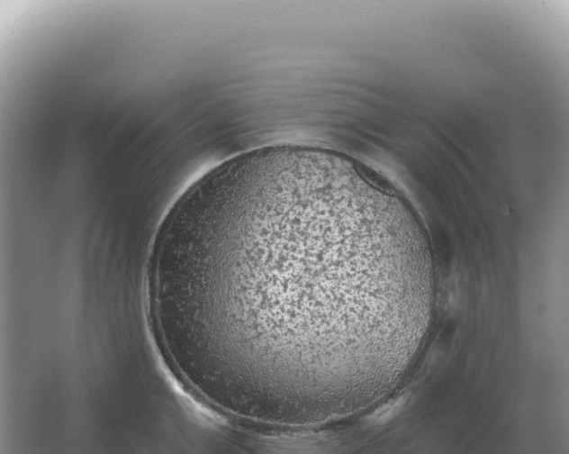 X0000067510999200604150129