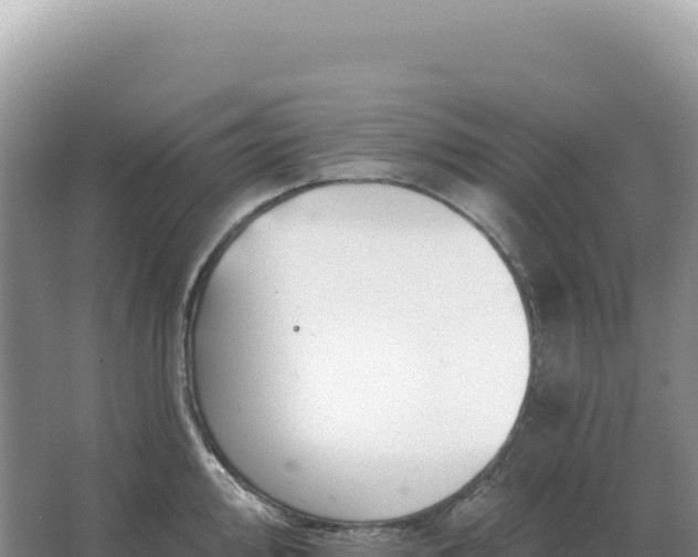 X0000067511000200604150128