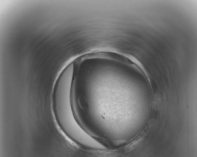 X0000067511005200604150128