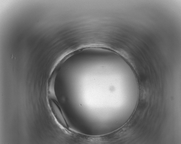 X0000067511006200604150128