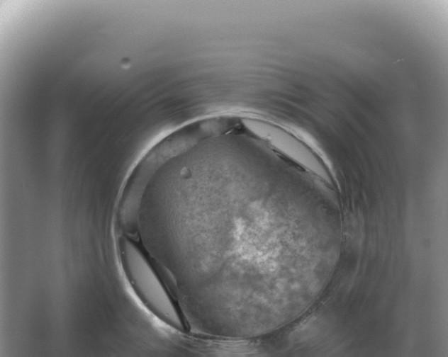 X0000067511007200604150128