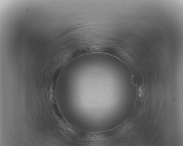 X0000067511011200604150128