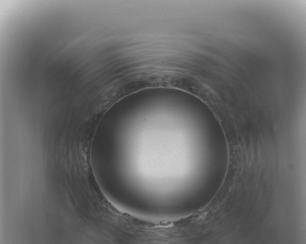 X0000067511013200604150128