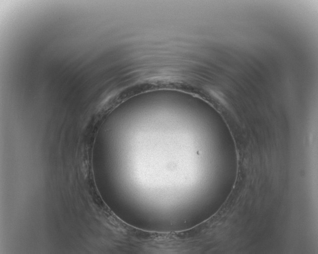 X0000067511015200604150128