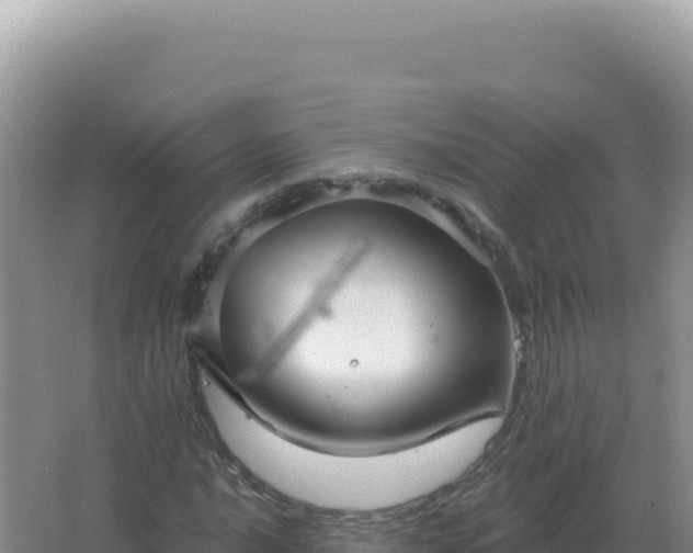 X0000067511016200604150128