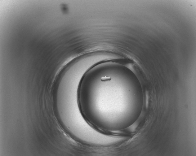 X0000067511018200604150128