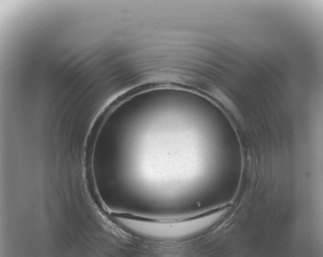 X0000067511020200604150128