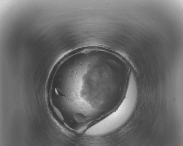 X0000067511024200604150128