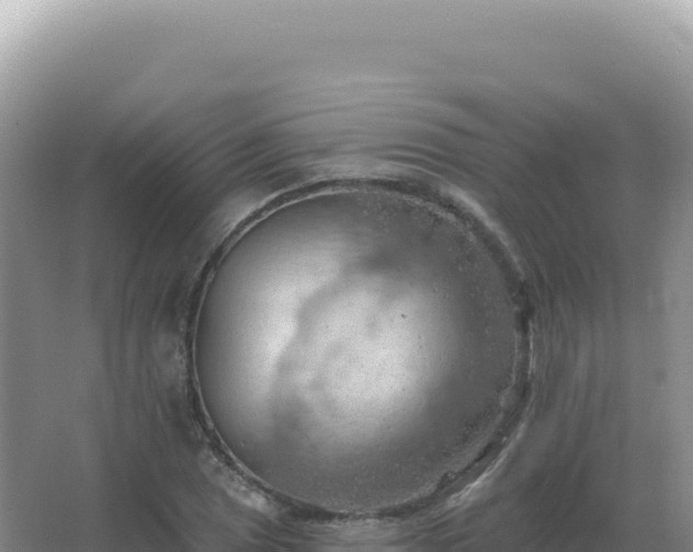 X0000067511025200604150128