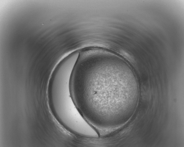 X0000067511028200604150128