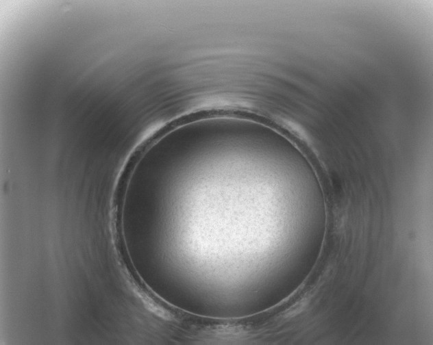 X0000067511029200604150128