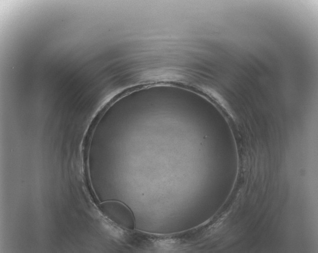 X0000067511031200604150128