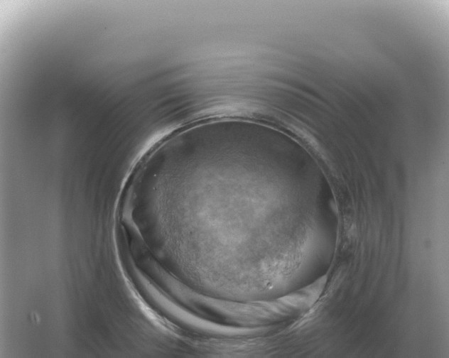 X0000067511034200604150128