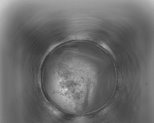 X0000067511035200604150128