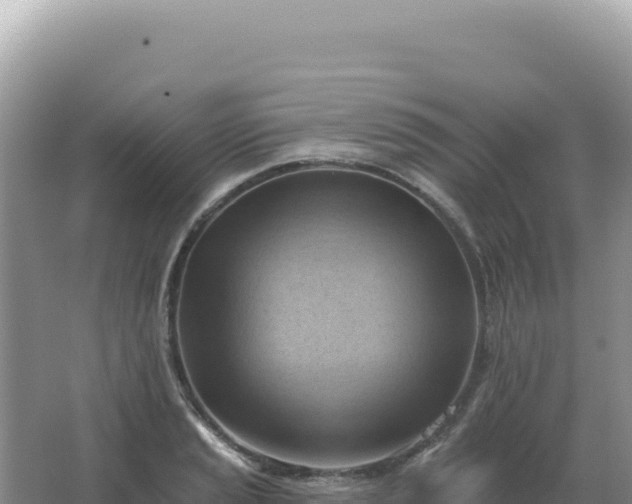 X0000067511037200604150128