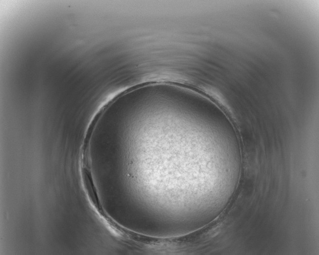 X0000067511040200604150128