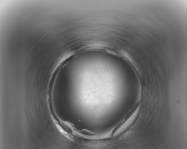 X0000067511042200604150128