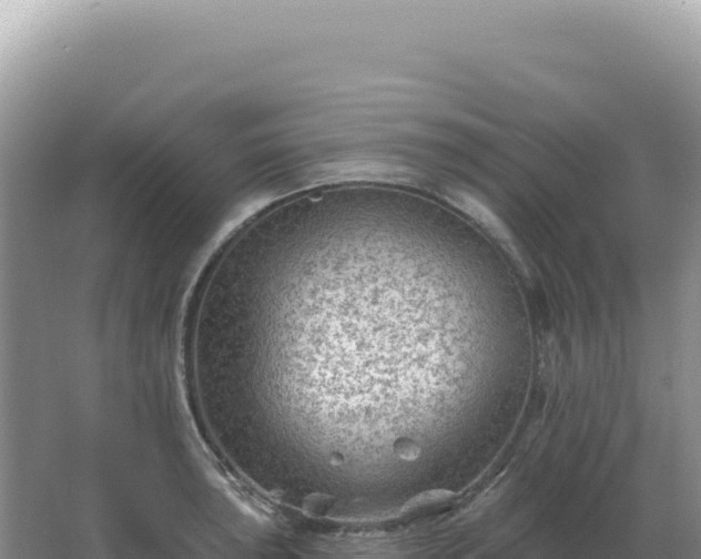 X0000067511043200604150128