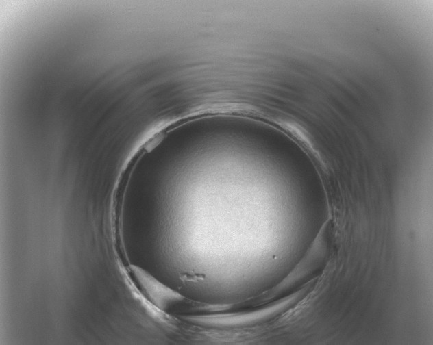 X0000067511046200604150128