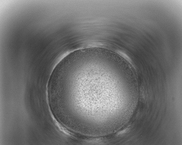 X0000067511047200604150128