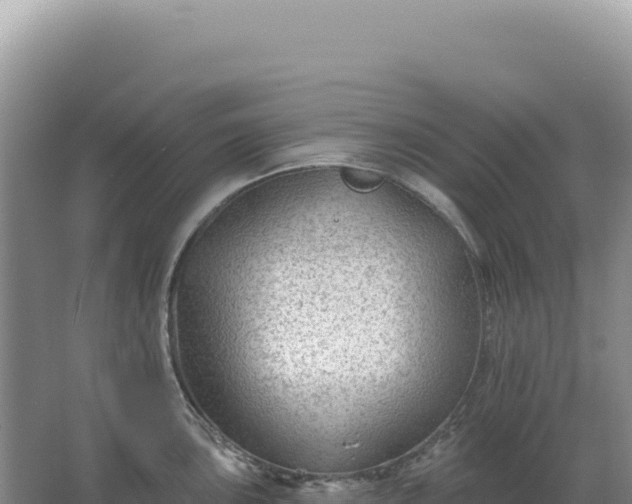 X0000067511051200604150128