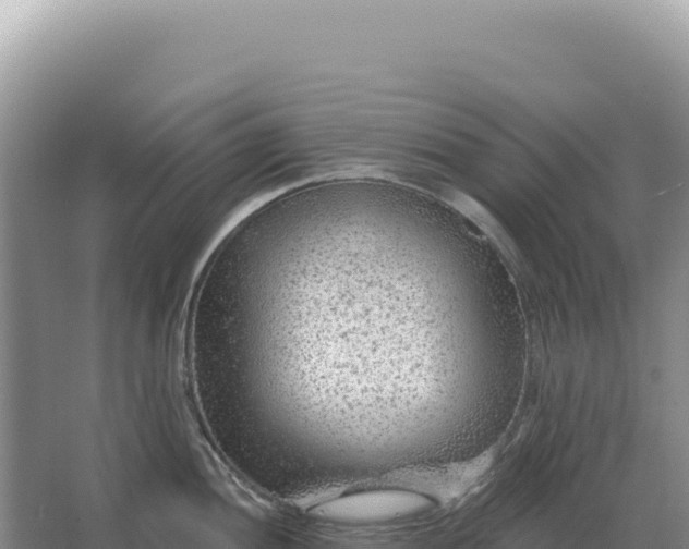 X0000067511052200604150128