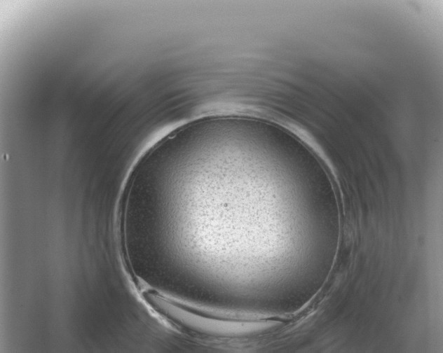 X0000067511053200604150128