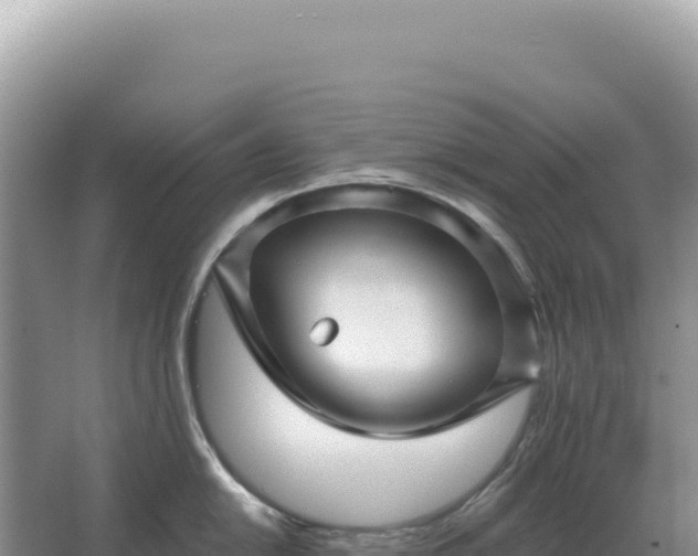 X0000067511054200604150128