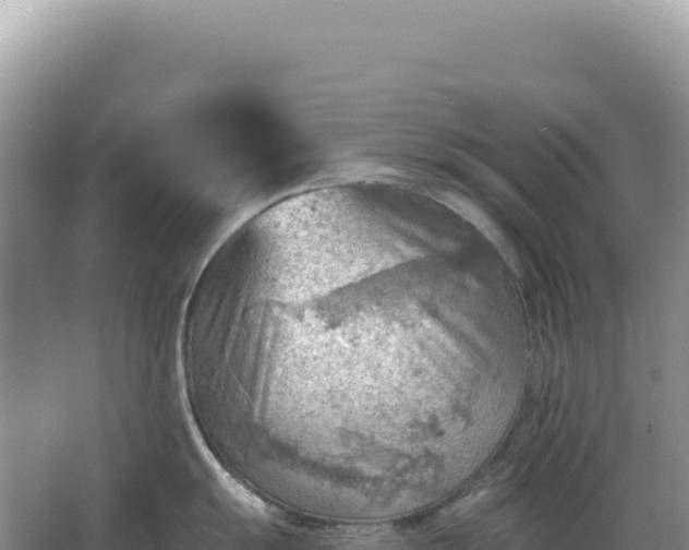 X0000067511055200604150128