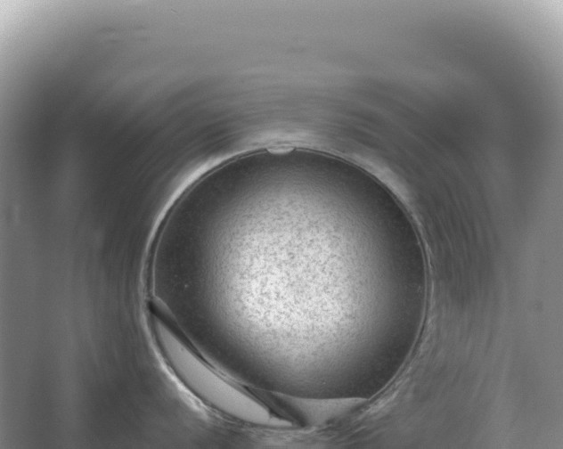 X0000067511056200604150128