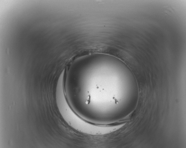 X0000067511058200604150128