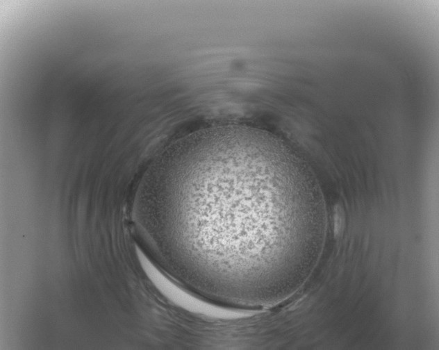 X0000067511059200604150128